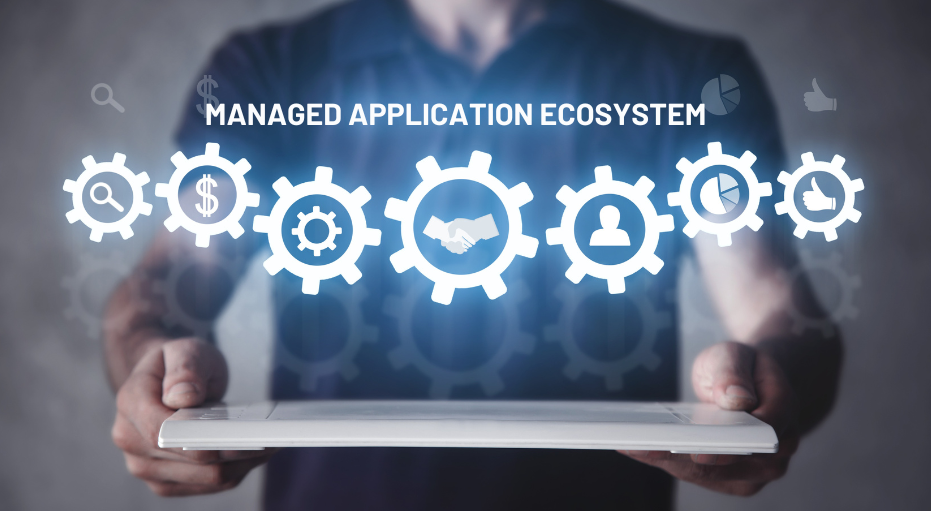 application ecosystem